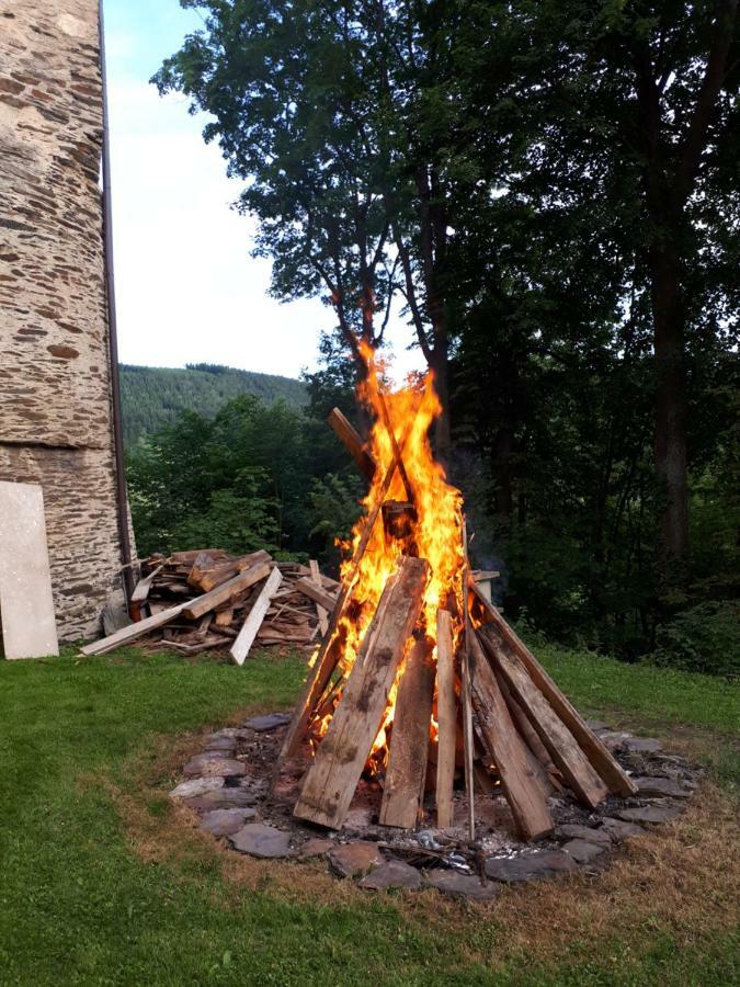 Gräfenthal Hotel Schloss Wespenstein מראה חיצוני תמונה